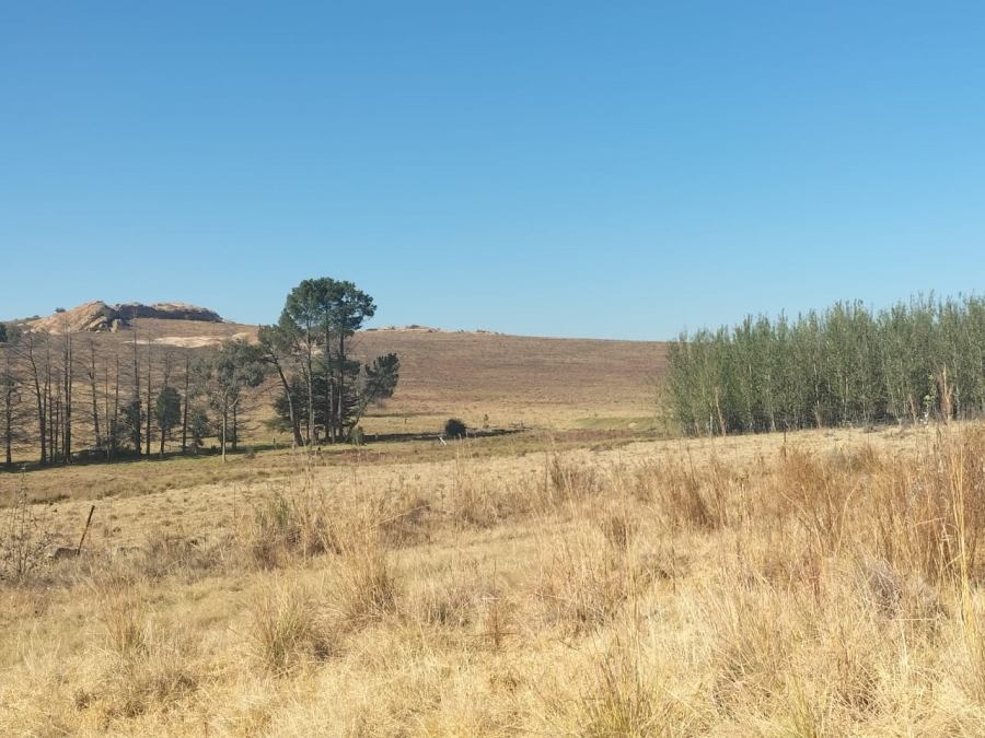 4 Bedroom Property for Sale in Bethlehem Rural Free State